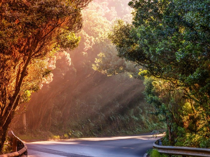 COVID-19 help round-up